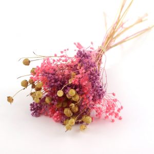 Bouquet de fleurs séchées Agathe