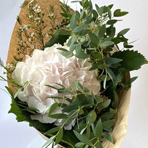 Bouquet de Hortensia, Wax et Eucalyptus